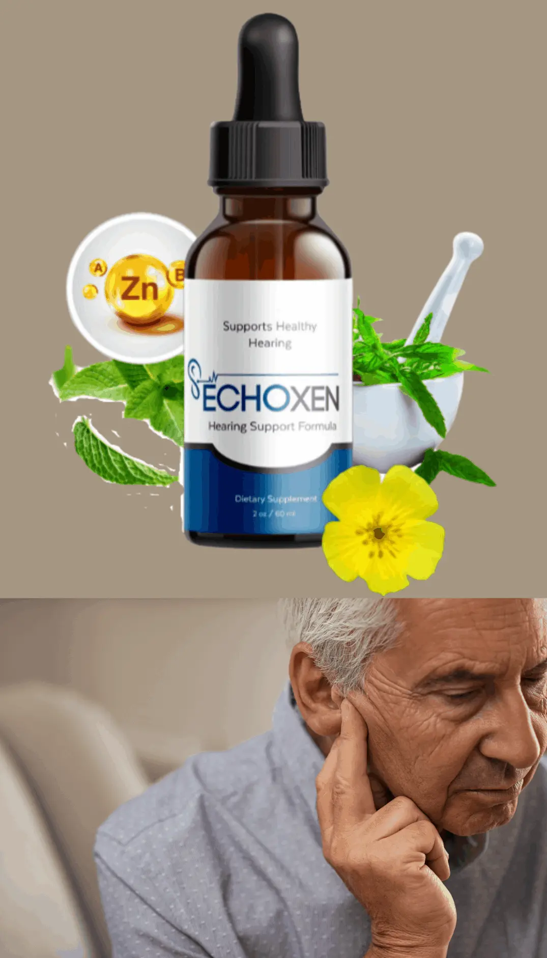 echoxen official website